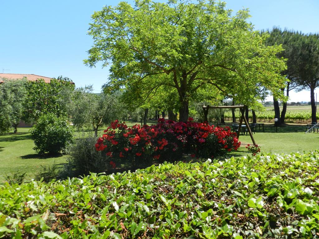 Agriturismo Fusini Magliano in Toscana Exterior foto