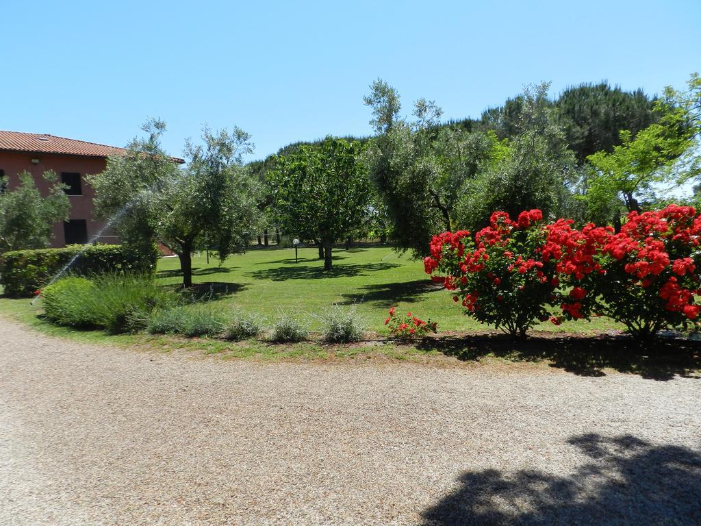 Agriturismo Fusini Magliano in Toscana Exterior foto
